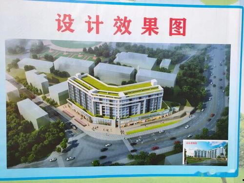 广元校园新爆料最新消息,揭秘校园热点事件背后的真相 第1张 广元校园新爆料最新消息,揭秘校园热点事件背后的真相 第1张